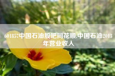 601857中国石油股吧同花顺,中国石油2013年营业收入