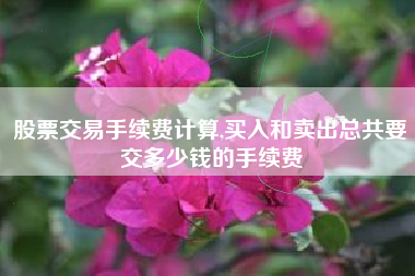 股票交易手续费计算,买入和卖出总共要交多少钱的手续费