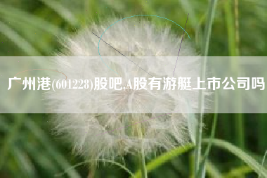 广州港(601228)股吧,A股有游艇上市公司吗