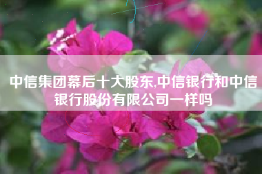 中信集团幕后十大股东,中信银行和中信银行股份有限公司一样吗