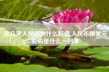 这几天人民币为什么贬值,人民币跟美元脱钩是什么一回事