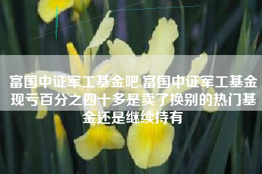 富国中证军工基金吧,富国中证军工基金现亏百分之四十多是卖了换别的热门基金还是继续持有