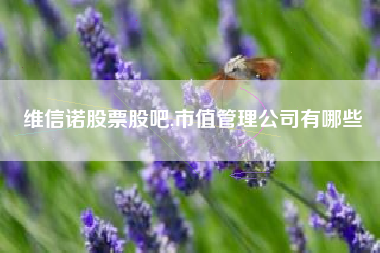 维信诺股票股吧,市值管理公司有哪些