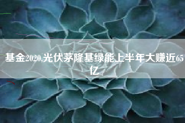 基金2020,光伏茅隆基绿能上半年大赚近65亿