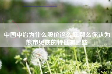 中国中冶为什么股价这么低,那么你认为熊市见底的特征有哪些