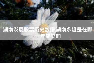 湖南发展股票历史数据,湖南永雄是在哪一年成立的