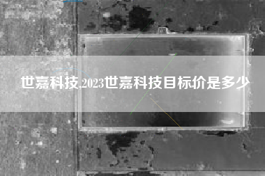 世嘉科技,2023世嘉科技目标价是多少