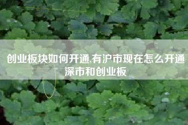 创业板块如何开通,有沪市现在怎么开通深市和创业板
