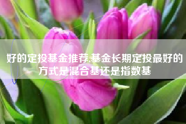 好的定投基金推荐,基金长期定投最好的方式是混合基还是指数基