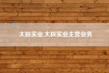 太极实业,太极实业主营业务