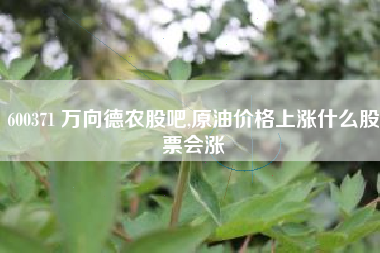 600371 万向德农股吧,原油价格上涨什么股票会涨