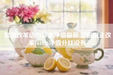 富国改革动力基金净值最新,富国国企改革161026净值分红没有