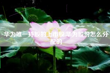华为唯一持股的上市股,华为股份怎么分配的
