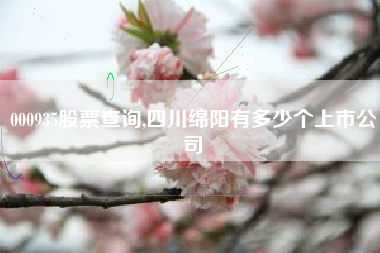 000935股票查询,四川绵阳有多少个上市公司