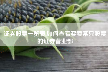 证券股票一览表,如何查看买卖某只股票的证券营业部
