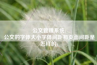 公文管理系统(
公文的字体大小字体间距和页面间距是怎样的) 公文管理系统(
公文的字体大小字体间距和页面间距是怎样的)