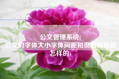 公文管理系统(
公文的字体大小字体间距和页面间距是怎样的) 公文管理系统(
公文的字体大小字体间距和页面间距是怎样的)