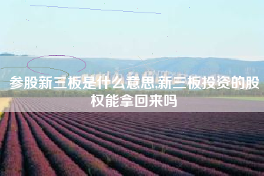 参股新三板是什么意思,新三板投资的股权能拿回来吗