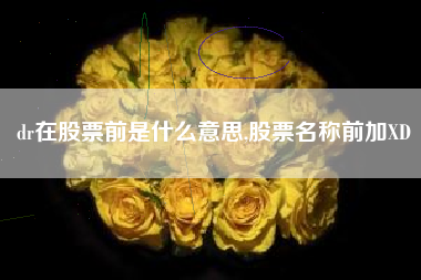 dr在股票前是什么意思,股票名称前加XD