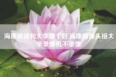 海康威视和大华哪个好,海康摄像头接大华录像机不录像