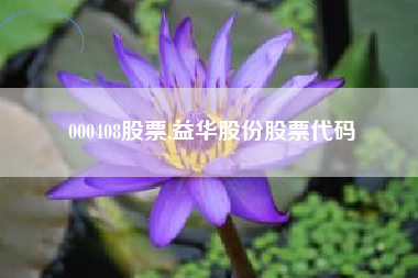 000408股票,益华股份股票代码