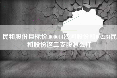 民和股份目标价,000014沙河股份和002234民和股份这二支股怎么样