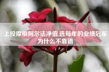 上投摩根阿尔法净值,选每年的业绩冠军为什么不靠谱