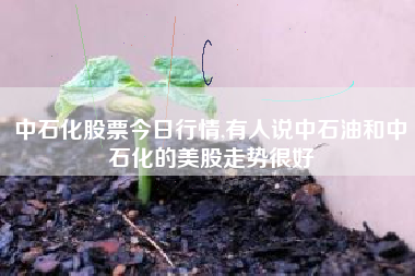 中石化股票今日行情,有人说中石油和中石化的美股走势很好