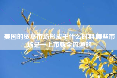 美国的资本市场形成于什么时期,哪些市场是一上市就全流通的