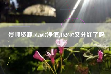 景顺资源162607净值,162607又分红了吗