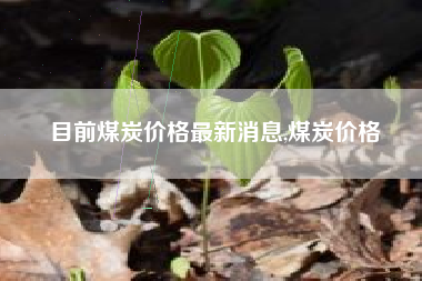 目前煤炭价格最新消息,煤炭价格