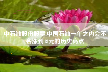 中石油股份股票,中国石油一年之内会不会涨到48元的历史高点