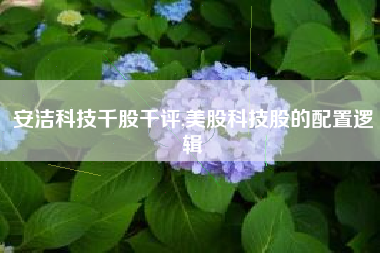 安洁科技千股千评,美股科技股的配置逻辑