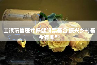 工银瑞信医疗保健股票基金,振兴乡村基金有哪些