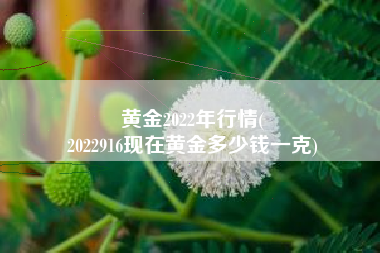 黄金2022年行情(
2022916现在黄金多少钱一克) 黄金2022年行情(
2022916现在黄金多少钱一克)
