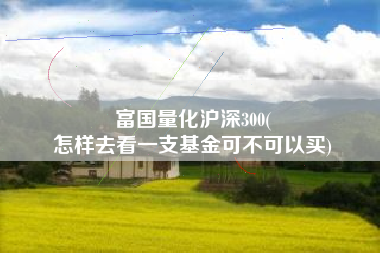 富国量化沪深300(
怎样去看一支基金可不可以买) 富国量化沪深300(
怎样去看一支基金可不可以买)