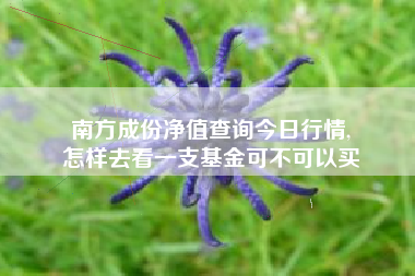南方成份净值查询今日行情,
怎样去看一支基金可不可以买 南方成份净值查询今日行情,
怎样去看一支基金可不可以买