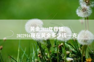 黄金2022年行情(
2022916现在黄金多少钱一克) 黄金2022年行情(
2022916现在黄金多少钱一克)