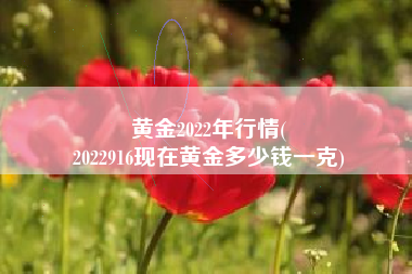 黄金2022年行情(
2022916现在黄金多少钱一克) 黄金2022年行情(
2022916现在黄金多少钱一克)