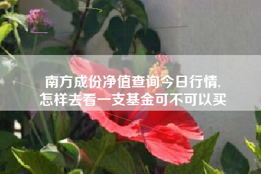 南方成份净值查询今日行情,
怎样去看一支基金可不可以买 南方成份净值查询今日行情,
怎样去看一支基金可不可以买