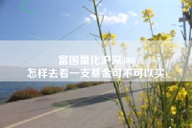 富国量化沪深300(
怎样去看一支基金可不可以买) 富国量化沪深300(
怎样去看一支基金可不可以买)
