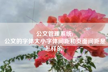公文管理系统(
公文的字体大小字体间距和页面间距是怎样的) 公文管理系统(
公文的字体大小字体间距和页面间距是怎样的)