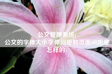 公文管理系统(
公文的字体大小字体间距和页面间距是怎样的) 公文管理系统(
公文的字体大小字体间距和页面间距是怎样的)