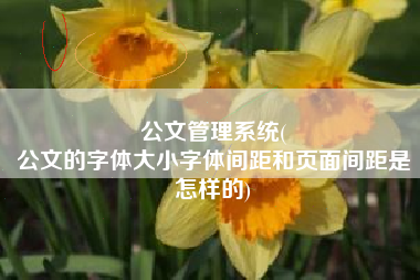 公文管理系统(
公文的字体大小字体间距和页面间距是怎样的) 公文管理系统(
公文的字体大小字体间距和页面间距是怎样的)