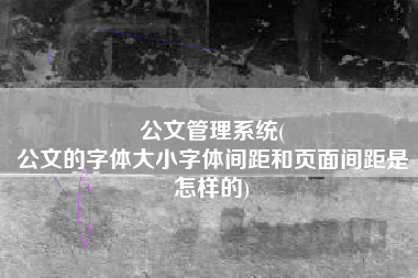 公文管理系统(
公文的字体大小字体间距和页面间距是怎样的) 公文管理系统(
公文的字体大小字体间距和页面间距是怎样的)
