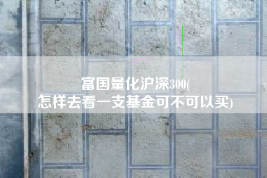 富国量化沪深300(
怎样去看一支基金可不可以买) 富国量化沪深300(
怎样去看一支基金可不可以买)