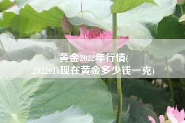 黄金2022年行情(
2022916现在黄金多少钱一克) 黄金2022年行情(
2022916现在黄金多少钱一克)