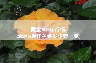 黄金2022年行情(
2022916现在黄金多少钱一克) 黄金2022年行情(
2022916现在黄金多少钱一克)