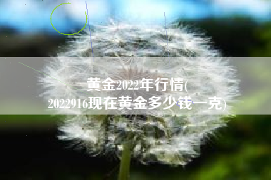 黄金2022年行情(
2022916现在黄金多少钱一克) 黄金2022年行情(
2022916现在黄金多少钱一克)