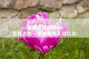 富国量化沪深300(
怎样去看一支基金可不可以买) 富国量化沪深300(
怎样去看一支基金可不可以买)